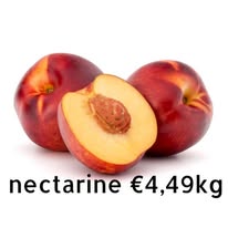 نكتارين